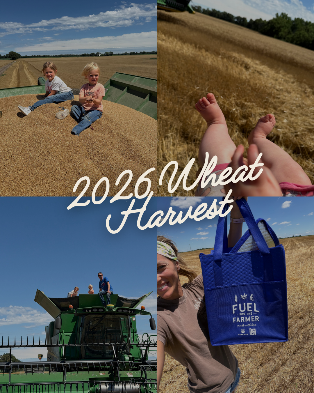 Wheat Harvest, Summer Days, and Simple Field Meals